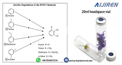 20ml headspace vial