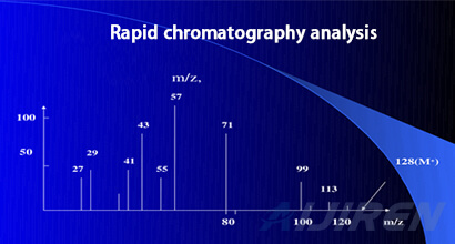 rapid chromatography analysis